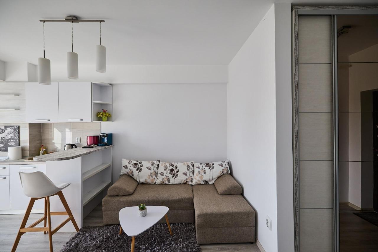 Alessandro Home 9 Luxury Centru Palas Mall Iasi Moldovei 30 מראה חיצוני תמונה